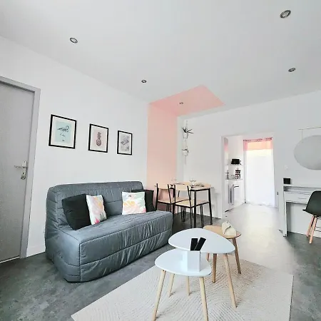F2 Cosy Avec Terrasse Appartement Nancy